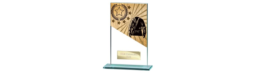 MUSTANG MARTIAL ARTS GLASS TROPHY - 5 SIZES - 11CM - 18CM MUSTANG MARTIAL ARTS GLASS TROPHY - 5 SIZES - 11CM - 18CM
